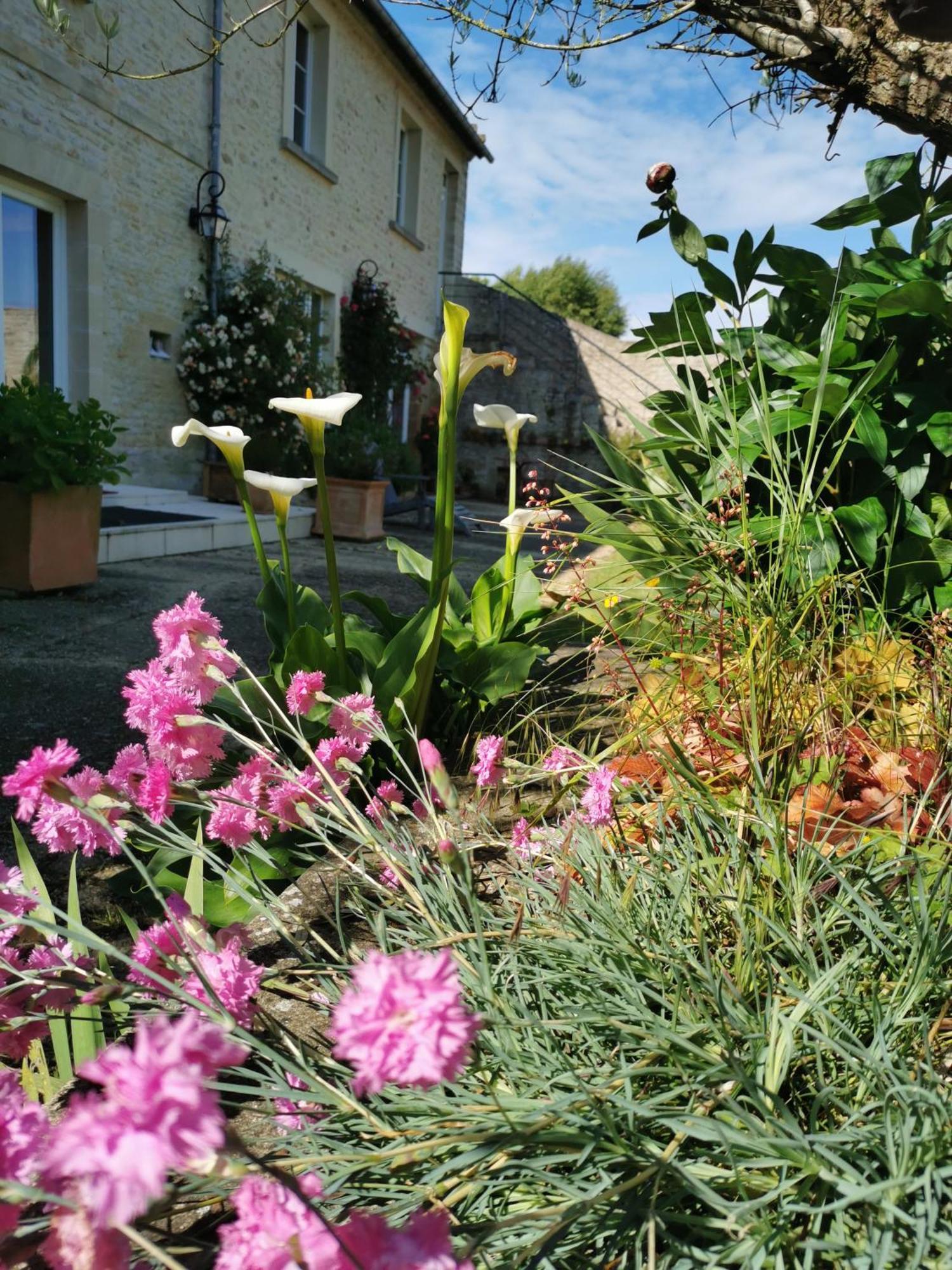 Sainte-Croix-sur-Mer Chambre De L'Iris מראה חיצוני תמונה