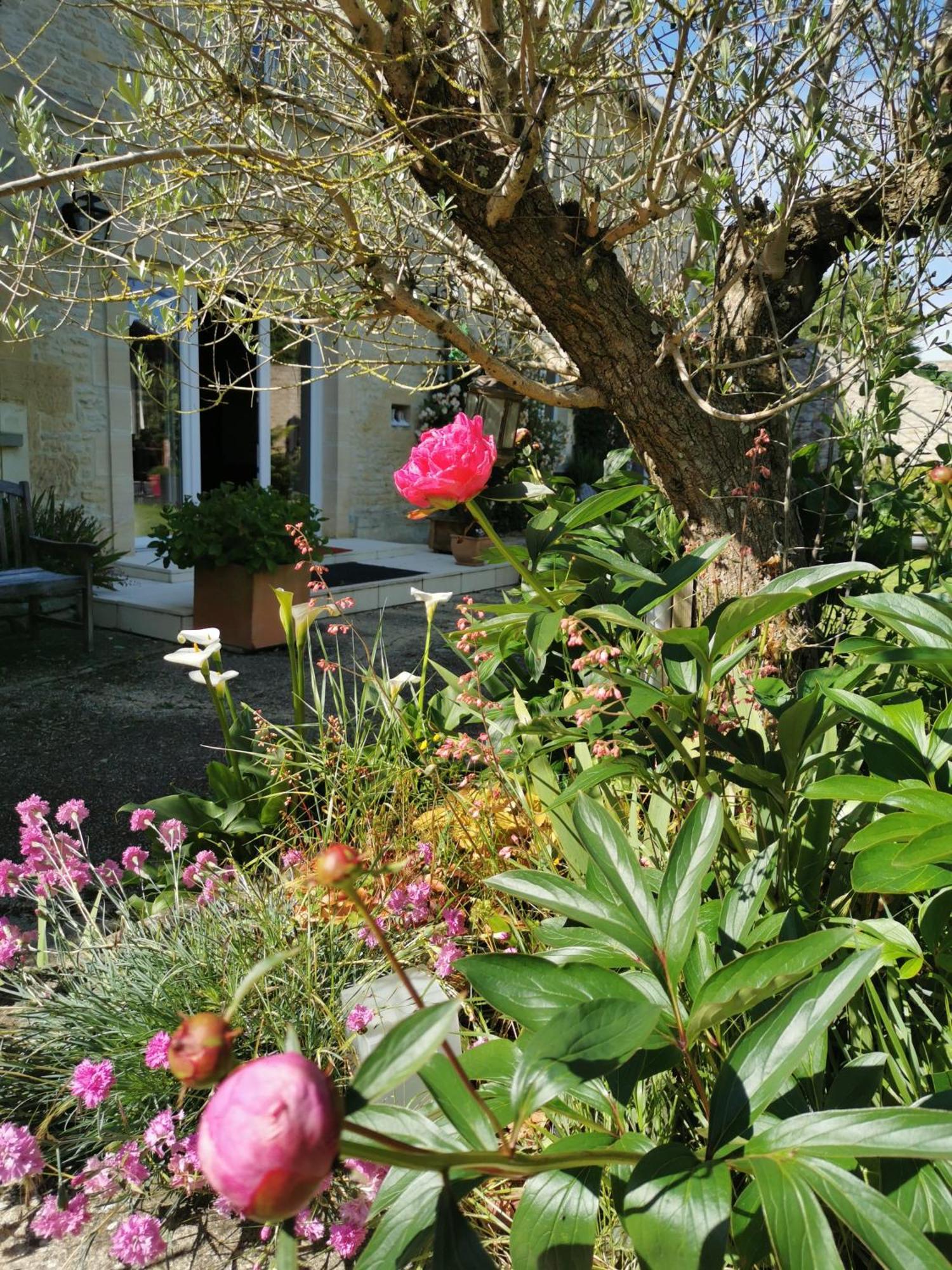 Sainte-Croix-sur-Mer Chambre De L'Iris מראה חיצוני תמונה